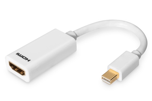 [XXL-045] Mini Display port Adapter