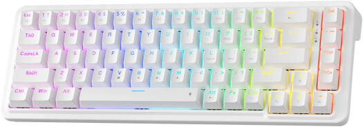 Redragon NOVA K709 65% Gaming Keyboard, 68 Keys, Dragon Chant Switch, RGB Lighting, Hot-Swappable, Dedicated Arrow Keys, 3-Layer Noise Dampening, Software Supported, White | K709W