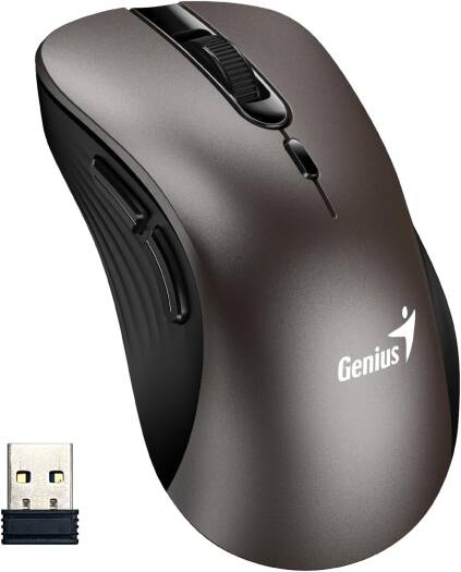 Genius Mouse Ergo 8100S Wireless Ergonomic Silent Mouse (Champagne titanium)