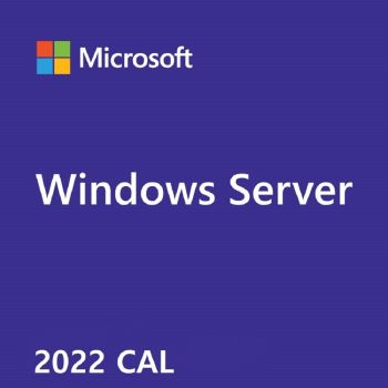 Microsoft Windows Server 2022, 1 User CAL | DG7GMGF0D5VX