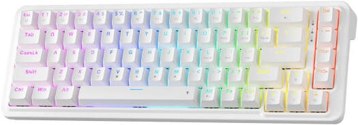 [K709W] Redragon NOVA K709 65% Gaming Keyboard, 68 Keys, Dragon Chant Switch, RGB Lighting, Hot-Swappable, Dedicated Arrow Keys, 3-Layer Noise Dampening, Software Supported, White | K709W